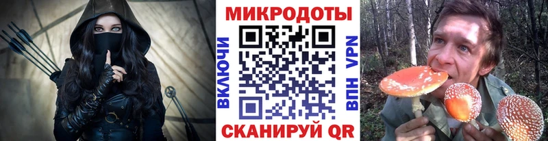 Галлюциногенные грибы прущие грибы  Славгород 