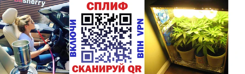 blacksprut tor  цены наркотик  Славгород  Шишки марихуана индика 